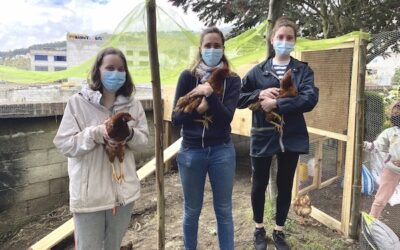 La fondation accueille de nouvelles habitantes !