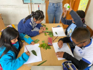 5BB17312-4AD8-4309-9CA0-C31FC26683EB