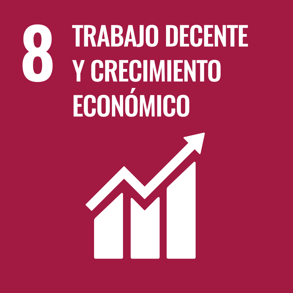 objectivo 8 : trabajo decente y crecimiento económico