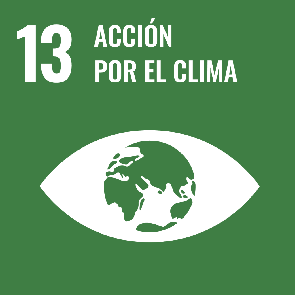 objectivo 13 : acción por el clima