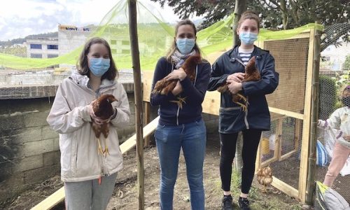 La fondation accueille de nouvelles habitantes !